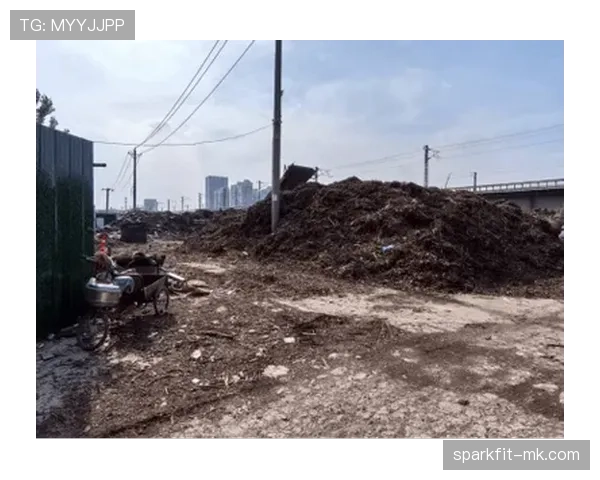 都灵中路渗透现象凸显城市交通隐患，治理难题亟待破解